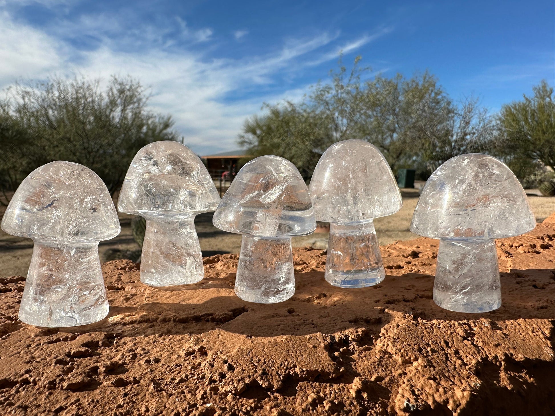 One (1) Clear Quartz Mushroom | Clear Quartz | Mushroom | Healing | Psychic Abilities | Clarity | Calmness