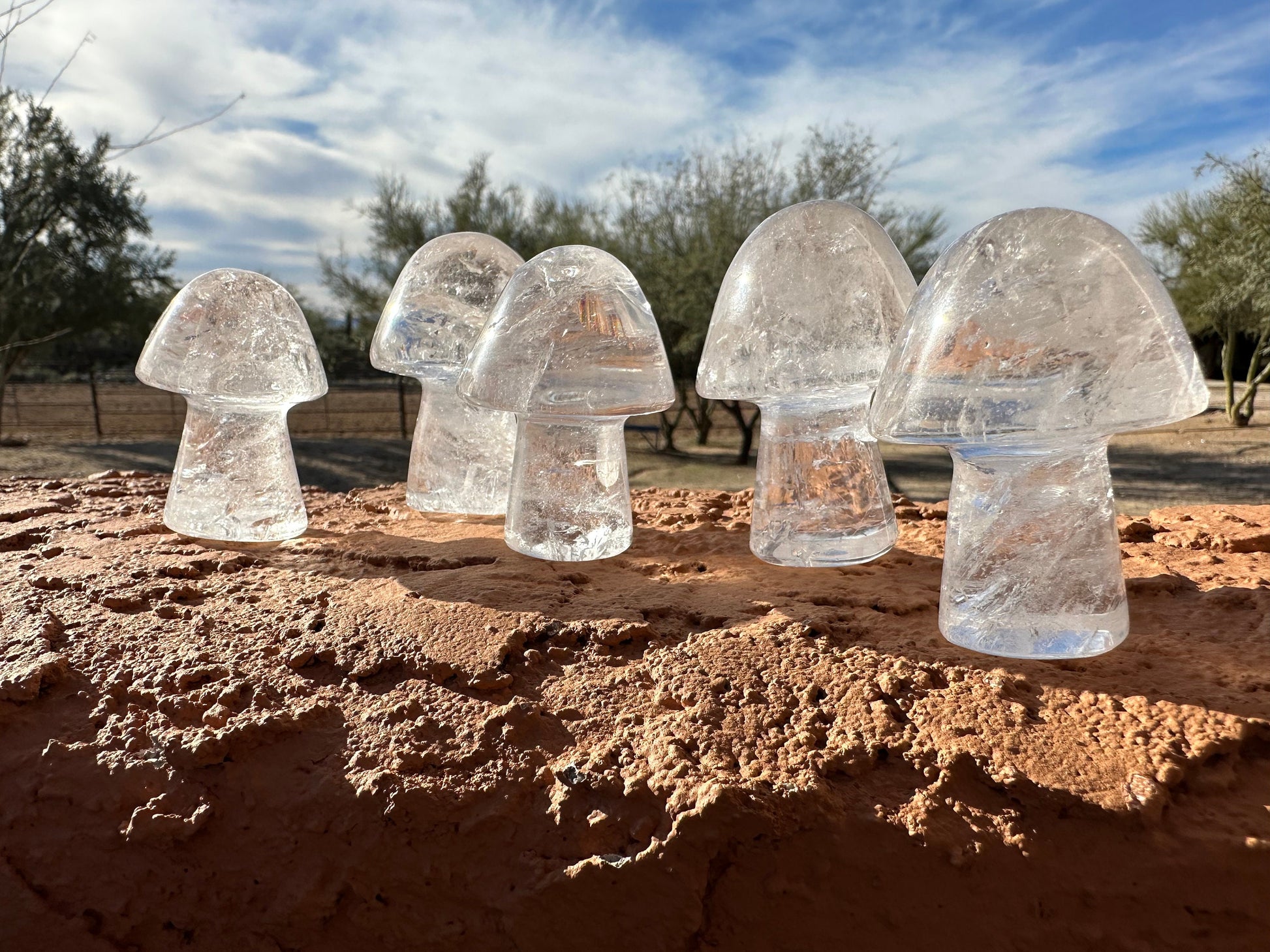 One (1) Clear Quartz Mushroom | Clear Quartz | Mushroom | Healing | Psychic Abilities | Clarity | Calmness