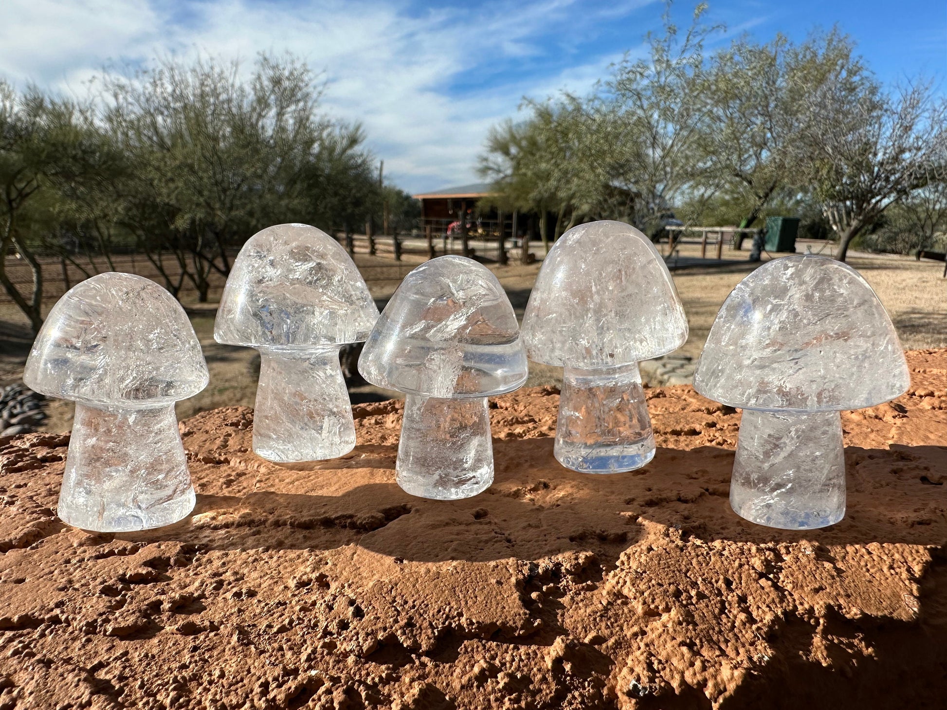 One (1) Clear Quartz Mushroom | Clear Quartz | Mushroom | Healing | Psychic Abilities | Clarity | Calmness