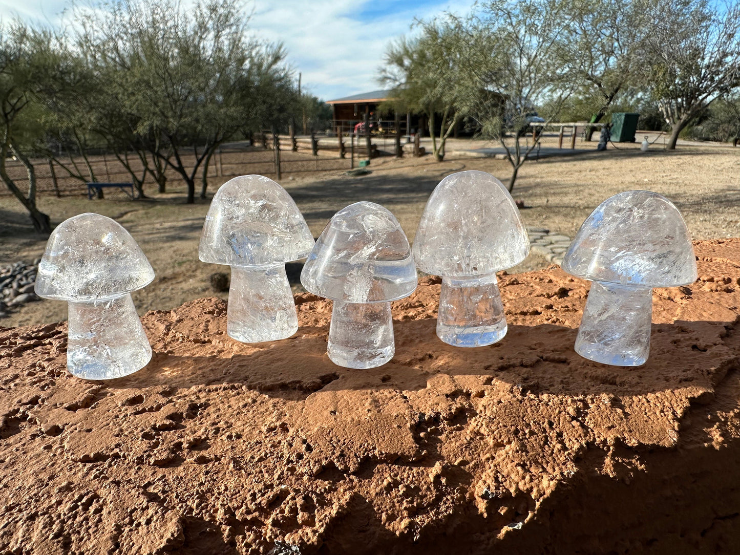 One (1) Clear Quartz Mushroom | Clear Quartz | Mushroom | Healing | Psychic Abilities | Clarity | Calmness