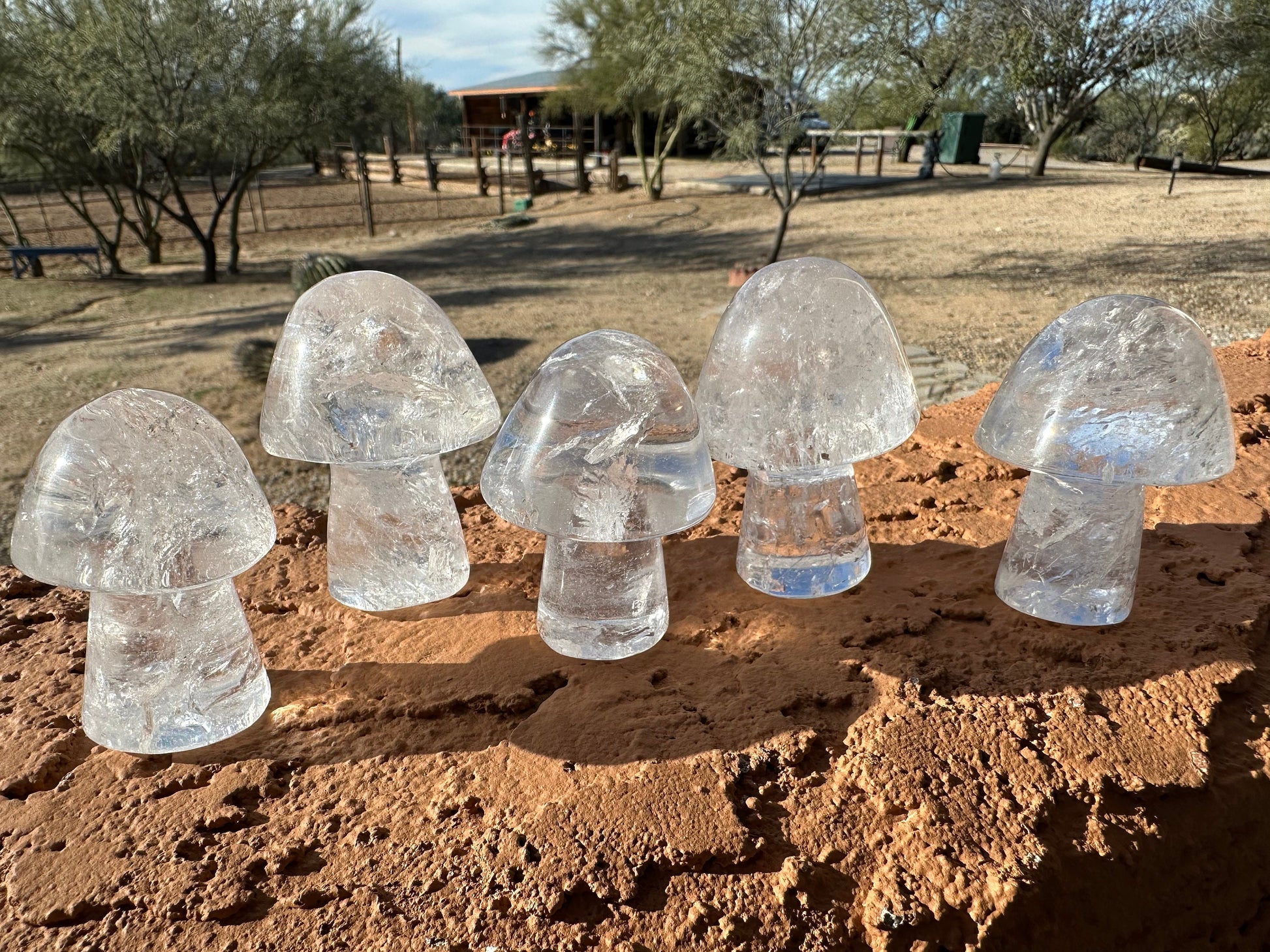 One (1) Clear Quartz Mushroom | Clear Quartz | Mushroom | Healing | Psychic Abilities | Clarity | Calmness