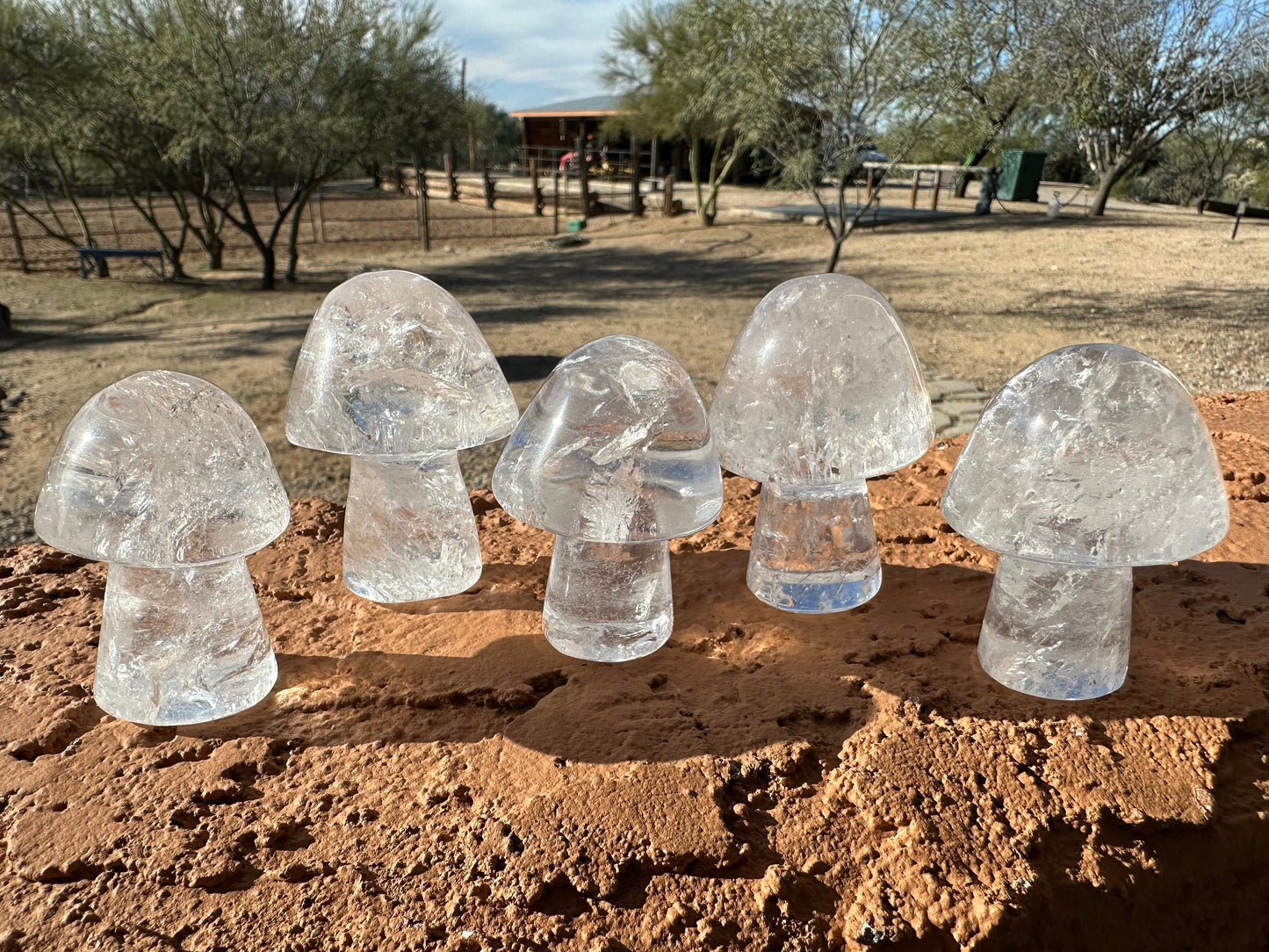 One (1) Clear Quartz Mushroom | Clear Quartz | Mushroom | Healing | Psychic Abilities | Clarity | Calmness