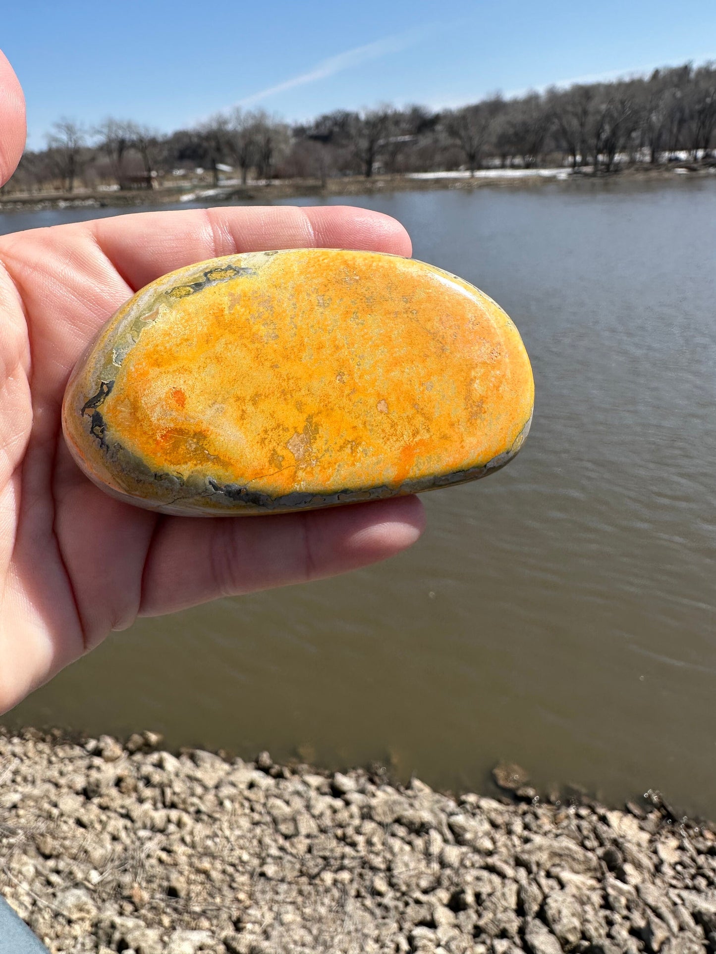 Bumble Bee Jasper Palm Stone | Polished Crystal Specimen | Sacred Chakra | Bumble Bee Jasper | Happiness | Creativity