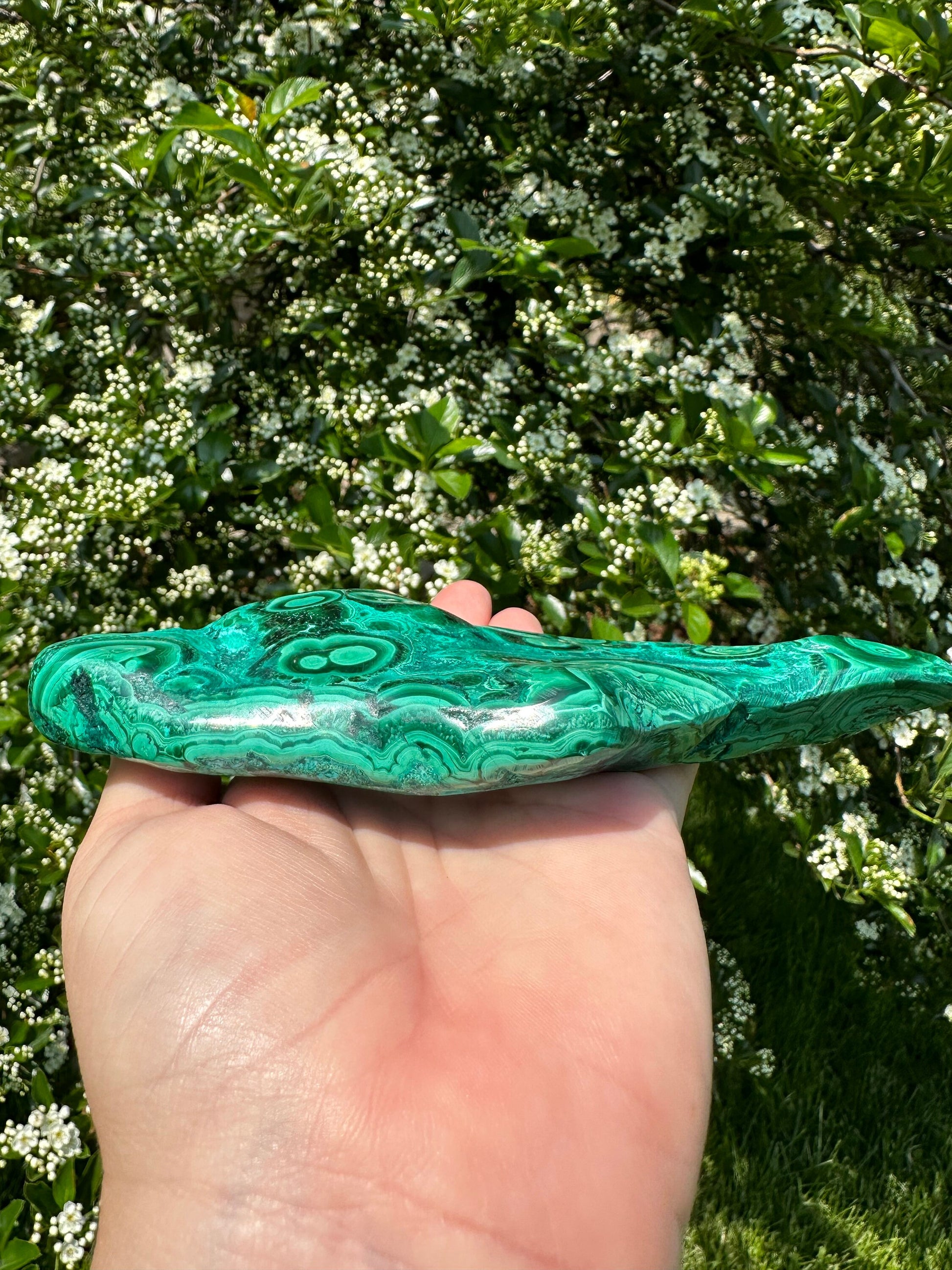 Malachite Chrysocolla Freeform | Manifestation | Transformation | Love | Protection | Abundance | Altar | Meditation