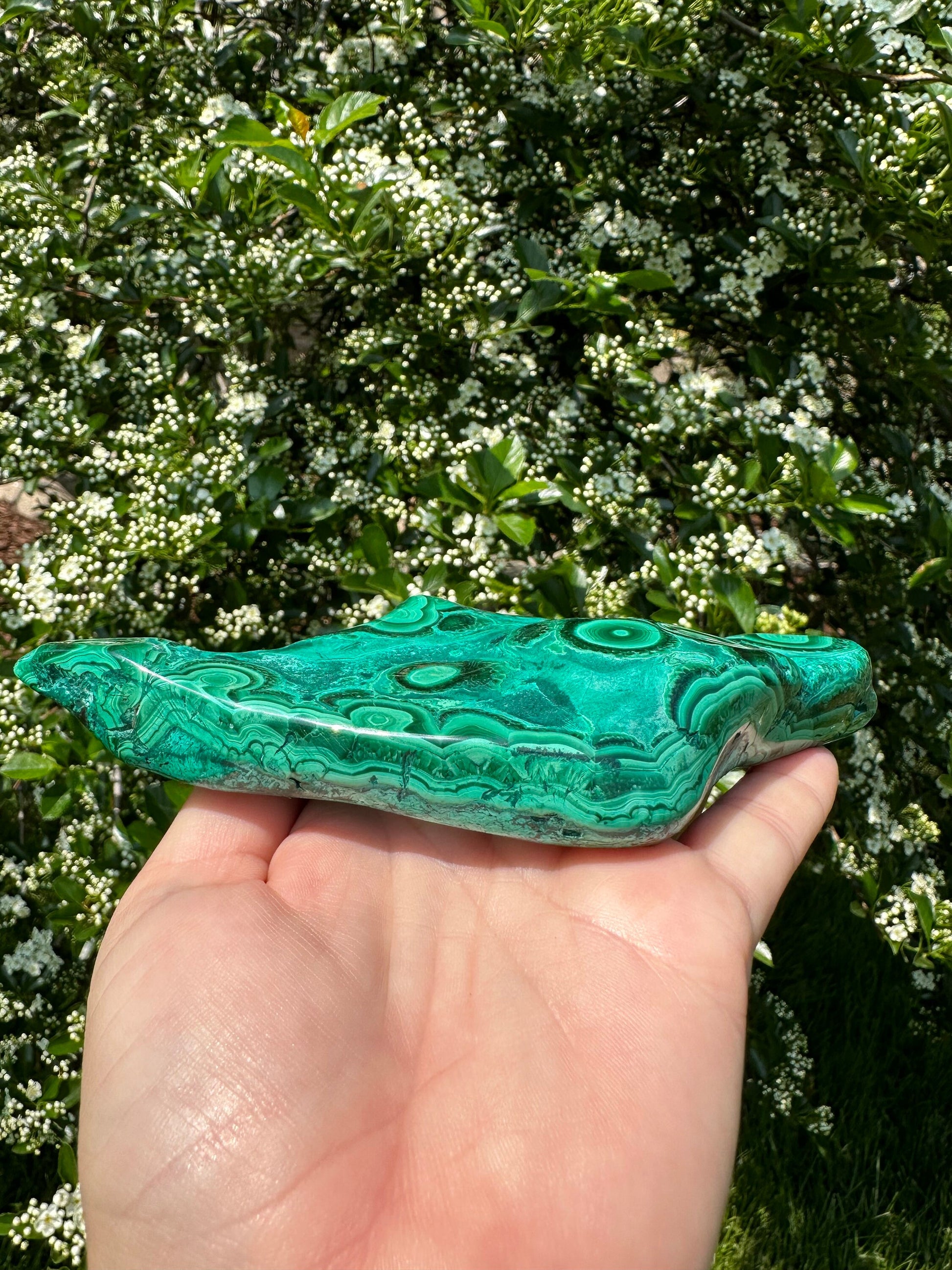 Malachite Chrysocolla Freeform | Manifestation | Transformation | Love | Protection | Abundance | Altar | Meditation