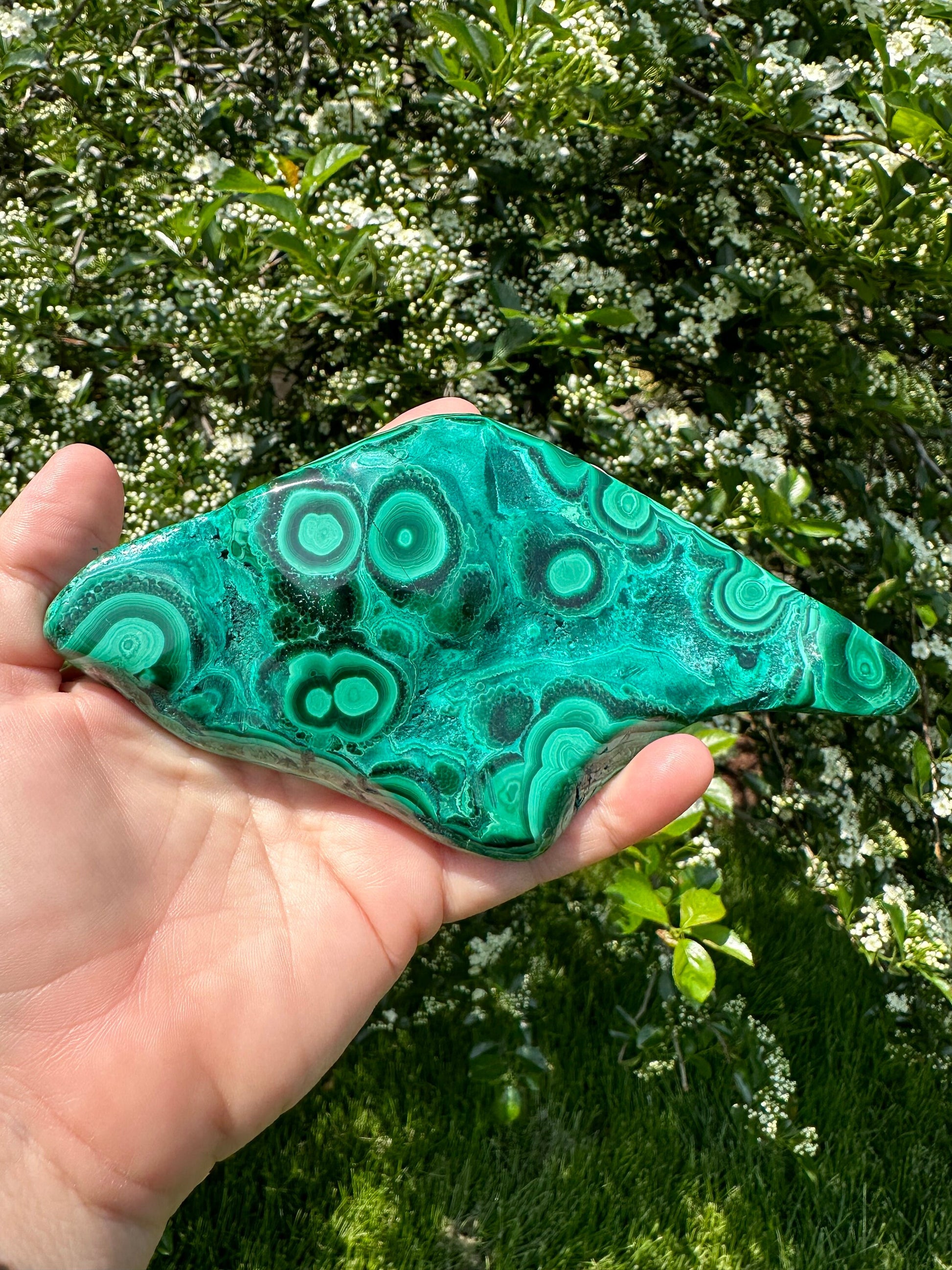 Malachite Chrysocolla Freeform | Manifestation | Transformation | Love | Protection | Abundance | Altar | Meditation