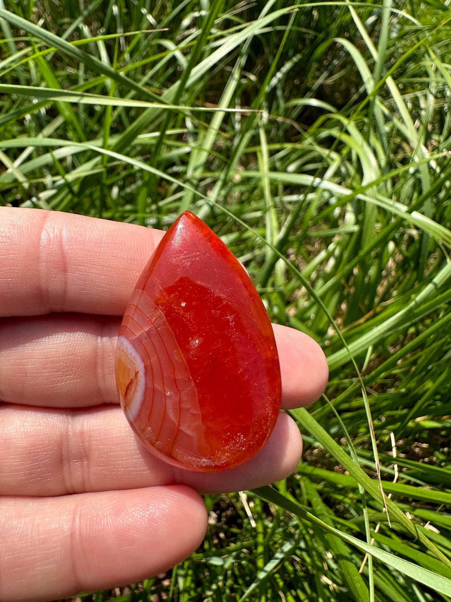 One (1) Carnelian Tear Drop | Carnelian Palm Stone | Sacral Chakra | Creativity | Energizing