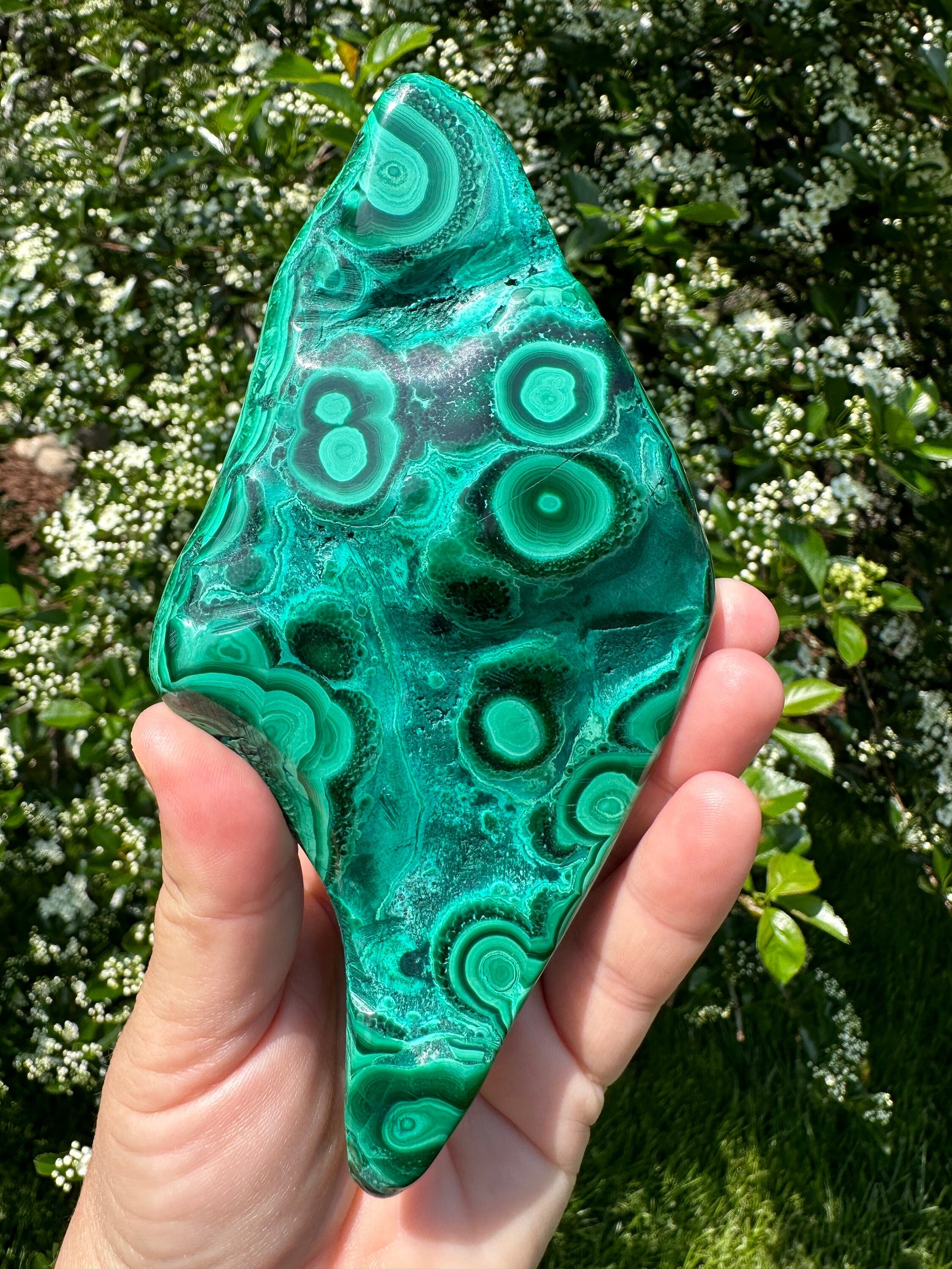 Malachite Chrysocolla Freeform | Manifestation | Transformation | Love | Protection | Abundance | Altar | Meditation