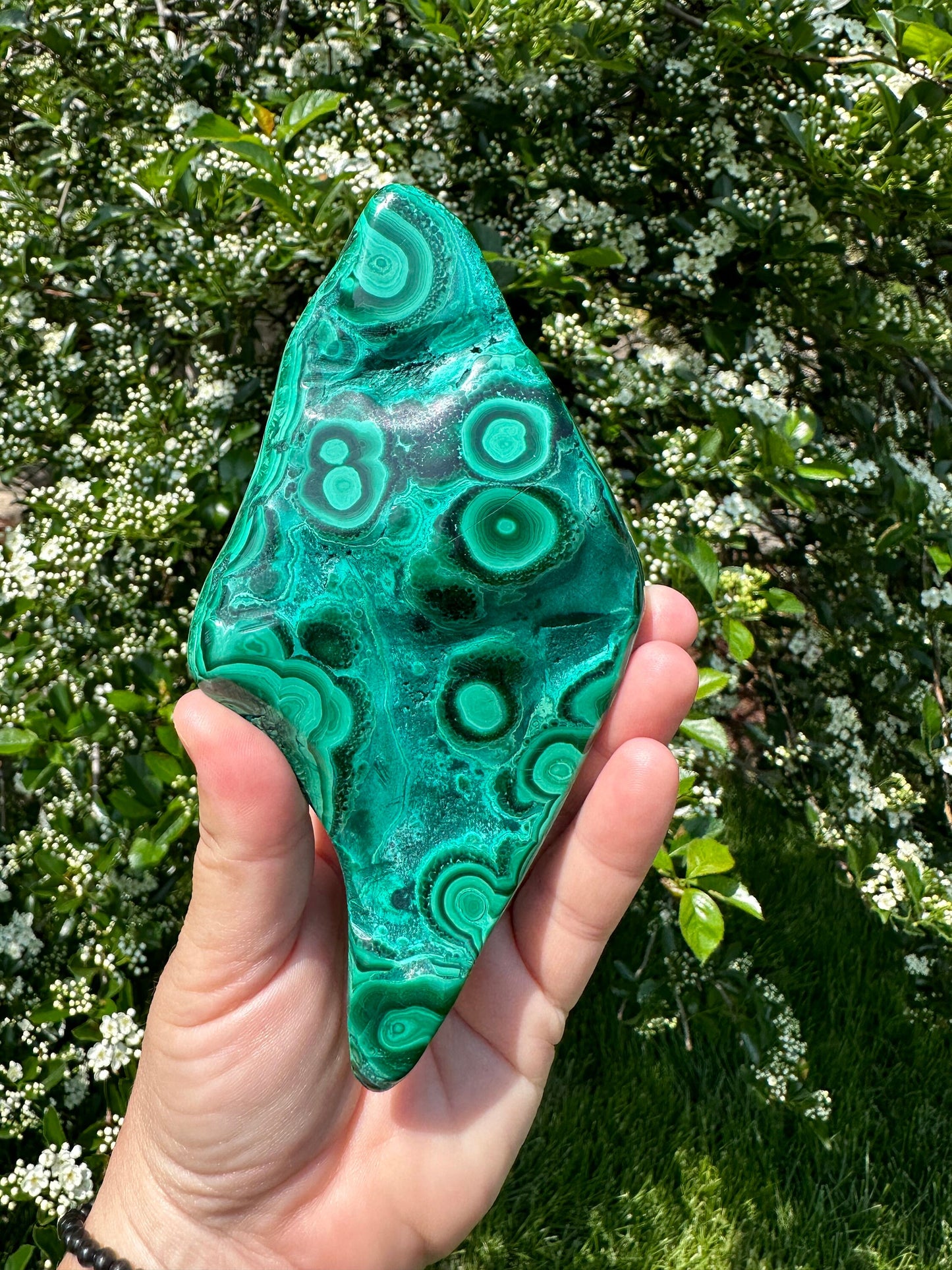 Malachite Chrysocolla Freeform | Manifestation | Transformation | Love | Protection | Abundance | Altar | Meditation