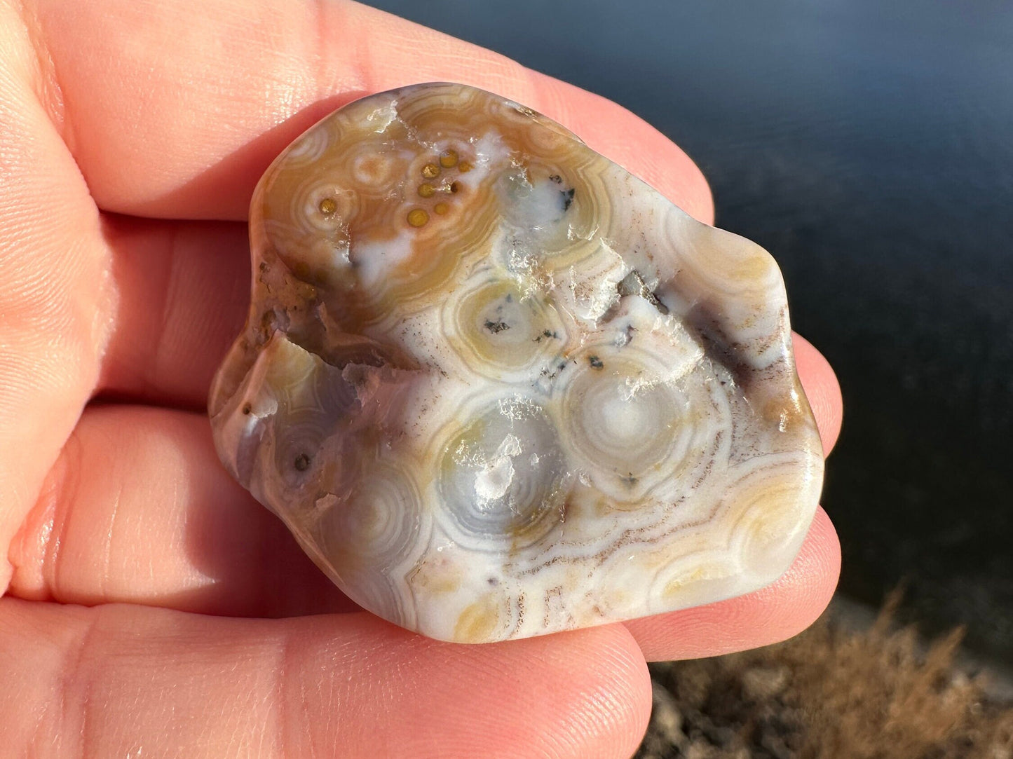 8th Vein Ocean Jasper Tumble | 8th Vein Ocean Jasper | 8th Vein Ocean Jasper Palm Stone | Ocean Jasper Vein 8 | Vein 8 Ocean Jasper