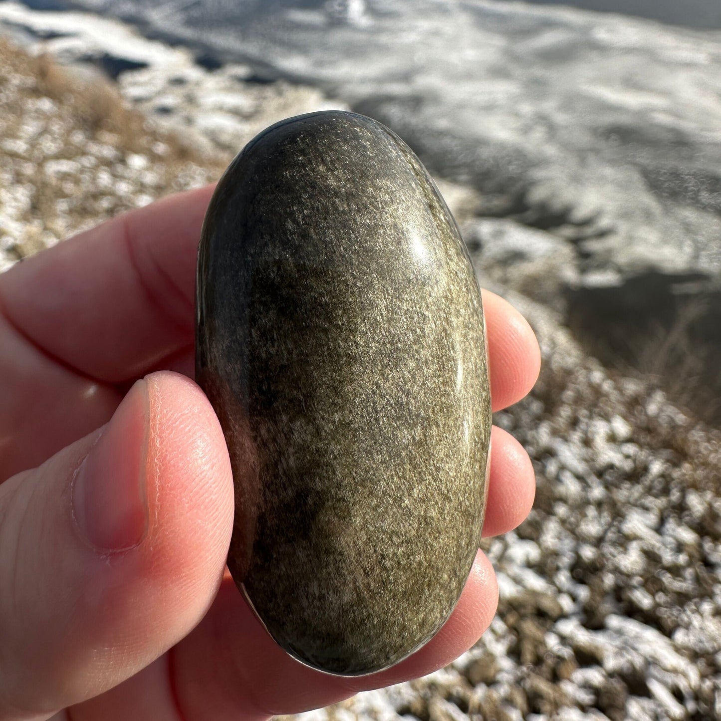 Gold Sheen Obsidian Palm Stone