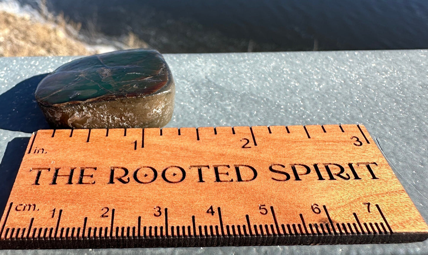 Amazing Natural Ammolite Specimen | Ammolite from Canada | Polished Ammolite | Fossilized Ammolite | Fossil | Rainbow Ammonite