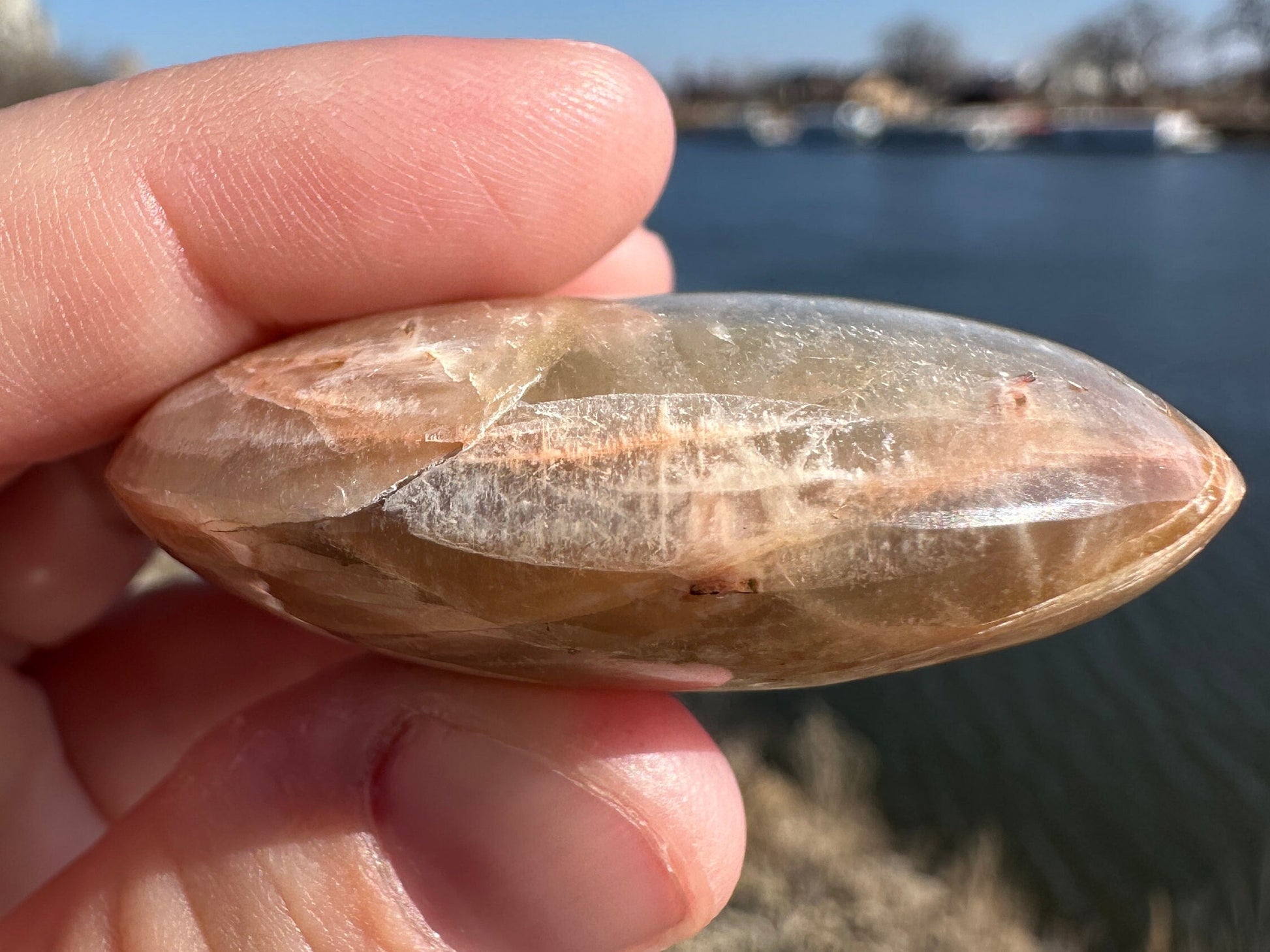 Gorgeous Indian Moonstone Palm Stone | Tucson Exclusive