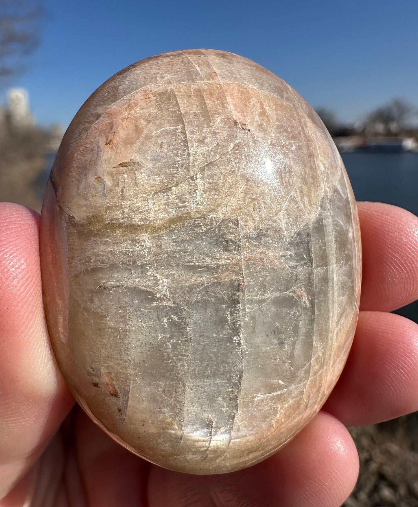 Gorgeous Indian Moonstone Palm Stone | Tucson Exclusive