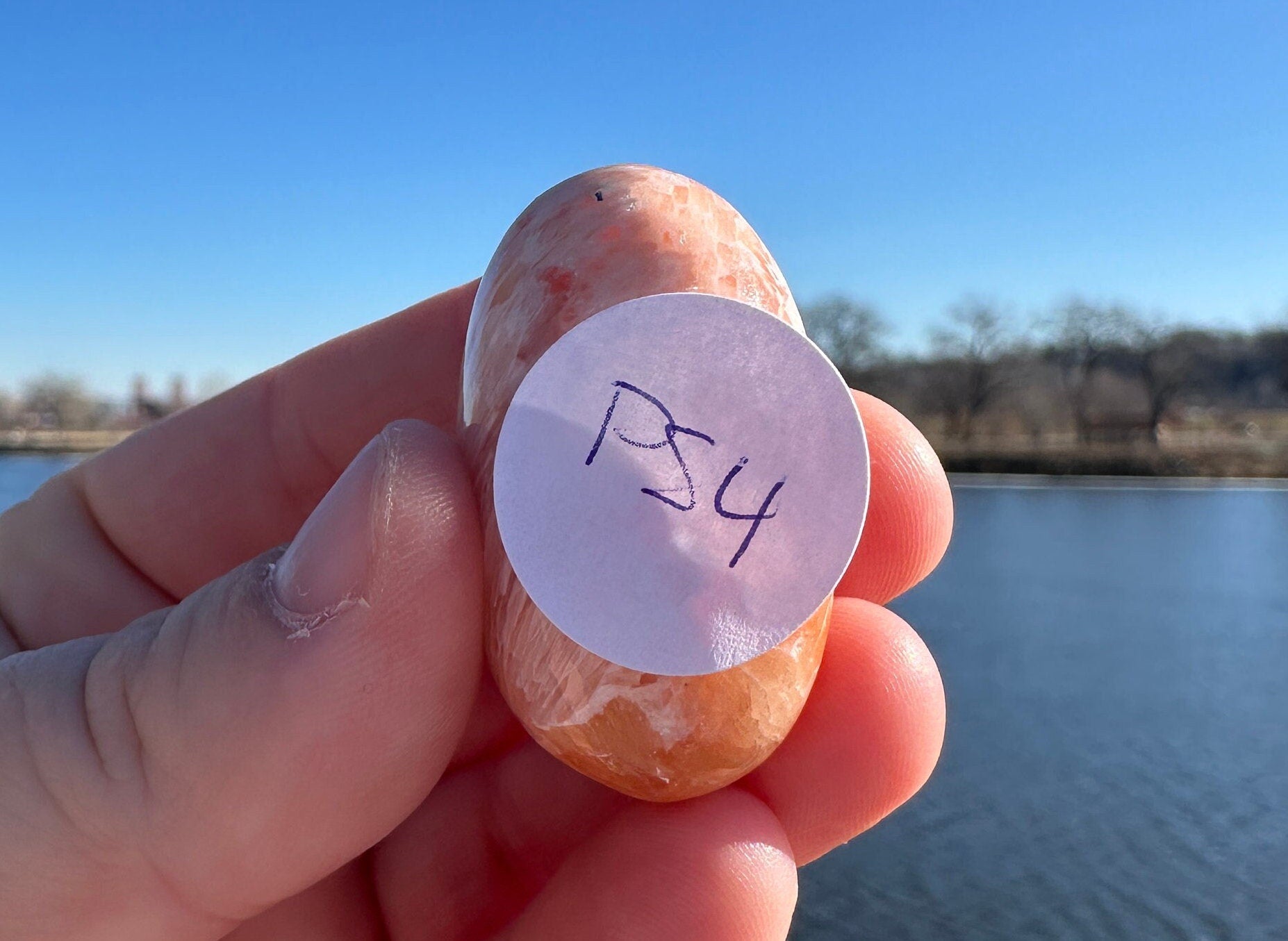 Pink Scolecite Shiva | Heart Chakra | Connection | Love | Spirituality