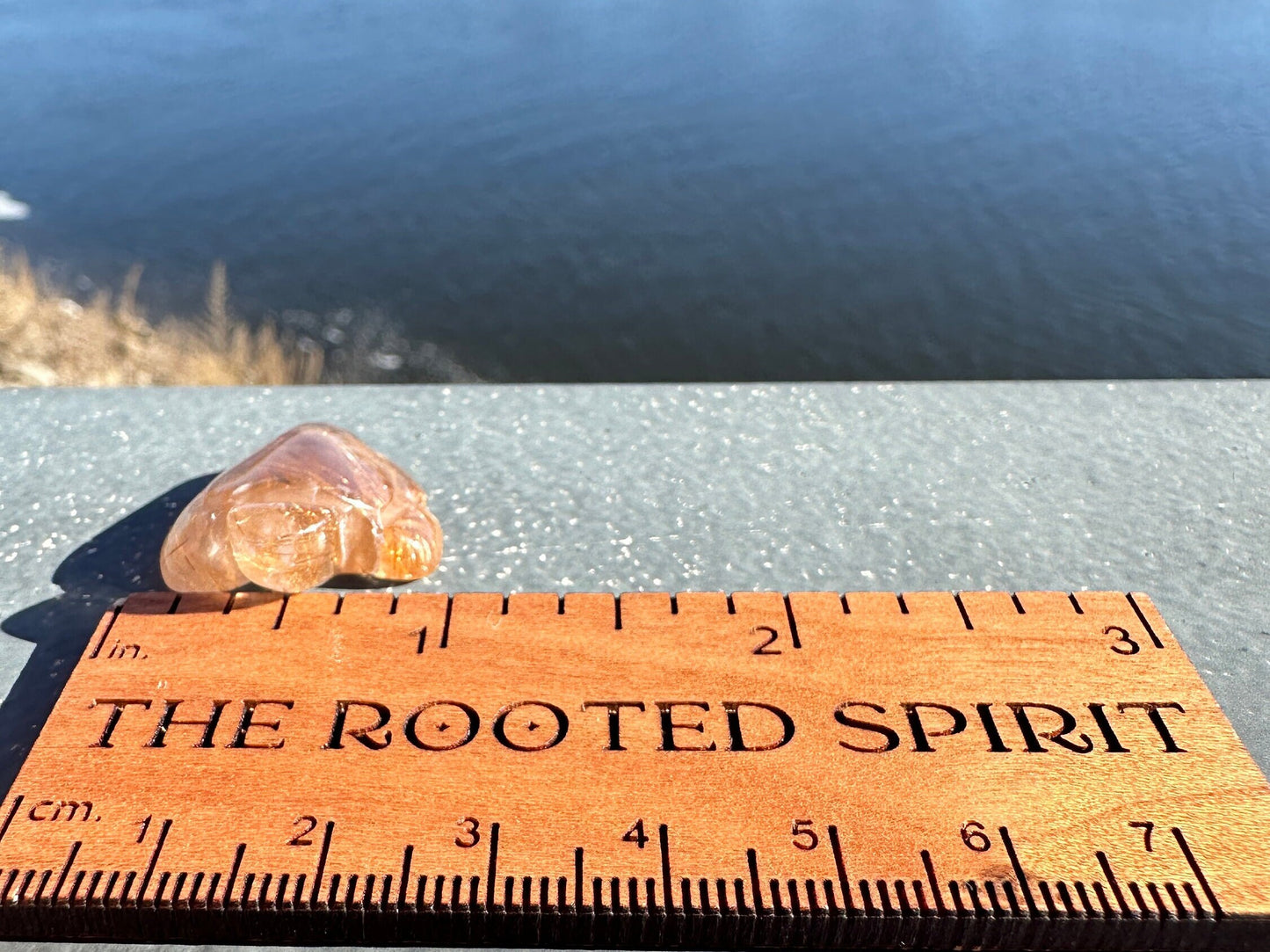 High Grade Golden Rutile Quartz Turtle Carving from Brazil | Garden Quartz | Inclusion Quartz