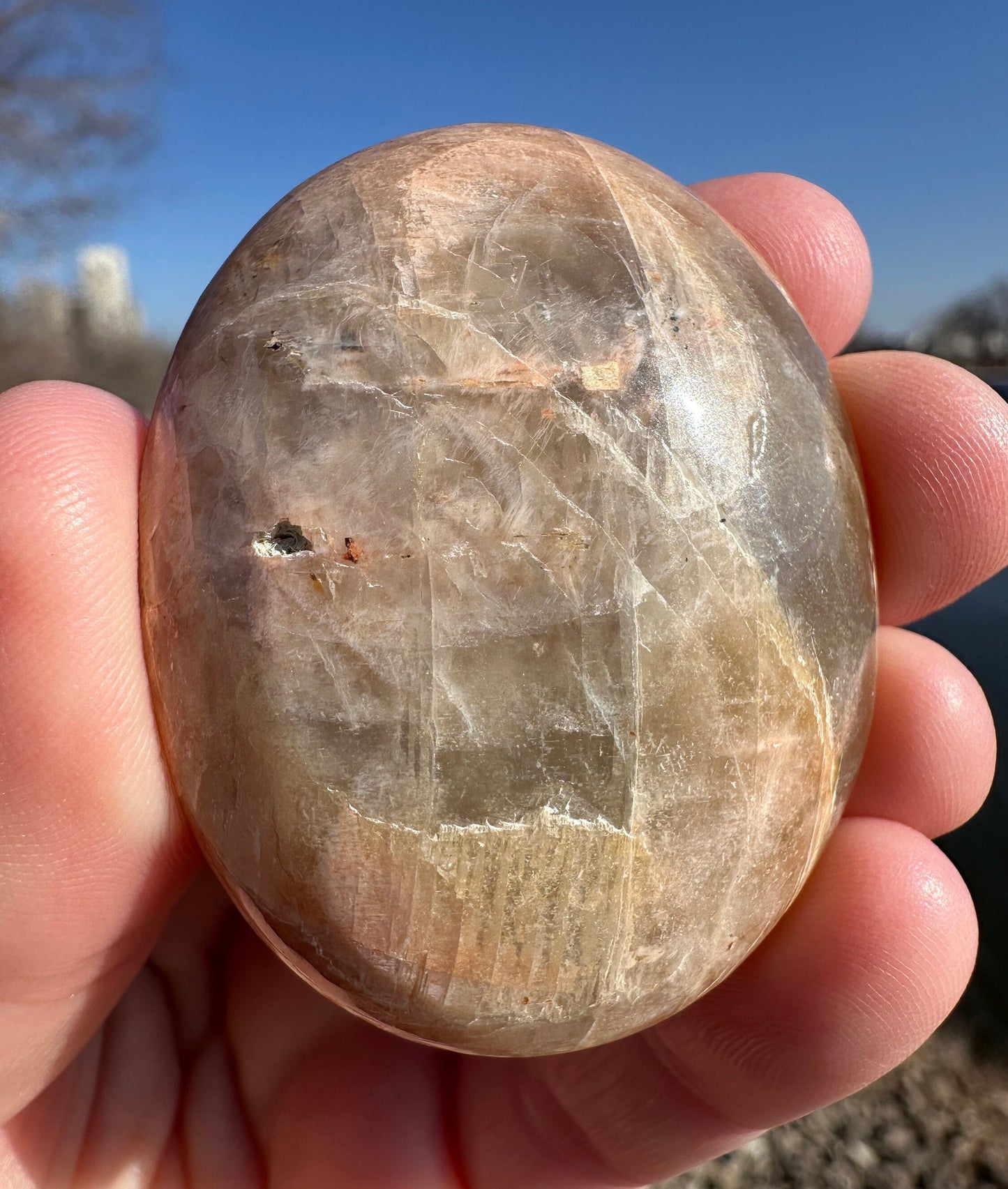 Gorgeous Indian Moonstone Palm Stone | Tucson Exclusive