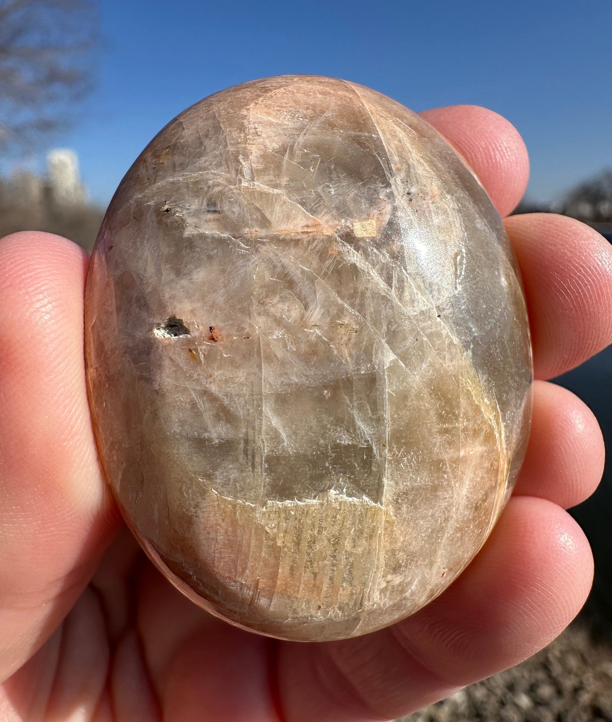 Gorgeous Indian Moonstone Palm Stone | Tucson Exclusive