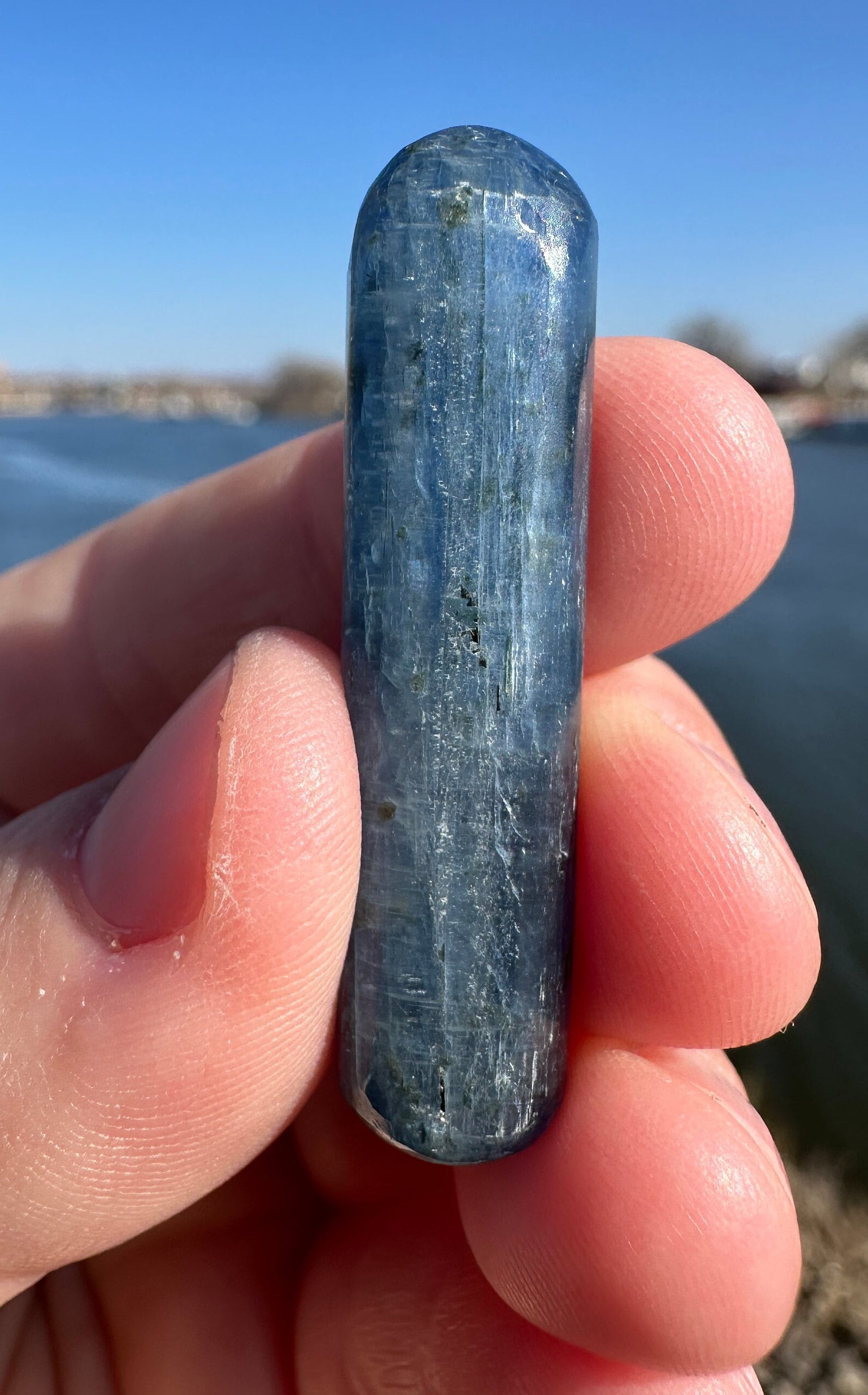 Gorgeous High Quality Polished Blue Kyanite Wands from India | Tucson Exclusive | Gems & Minerals | Crystal Collector Home Decor