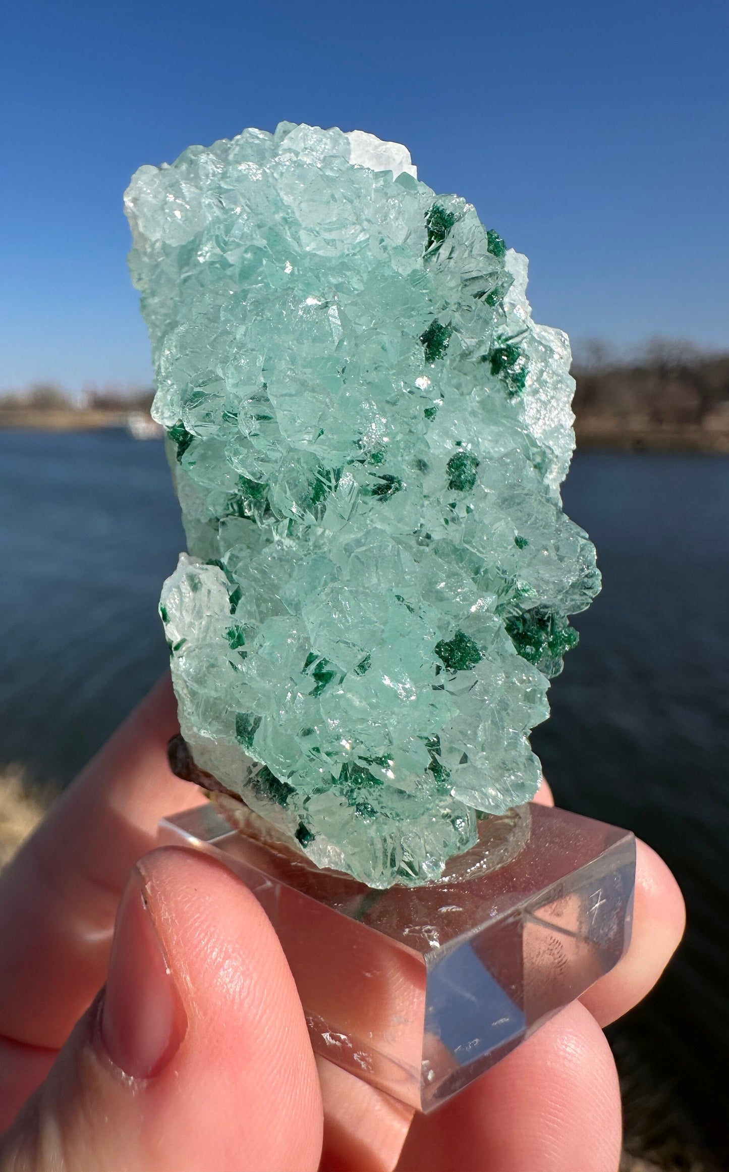 Incredible Druzy Gem Silica Specimen from Peru